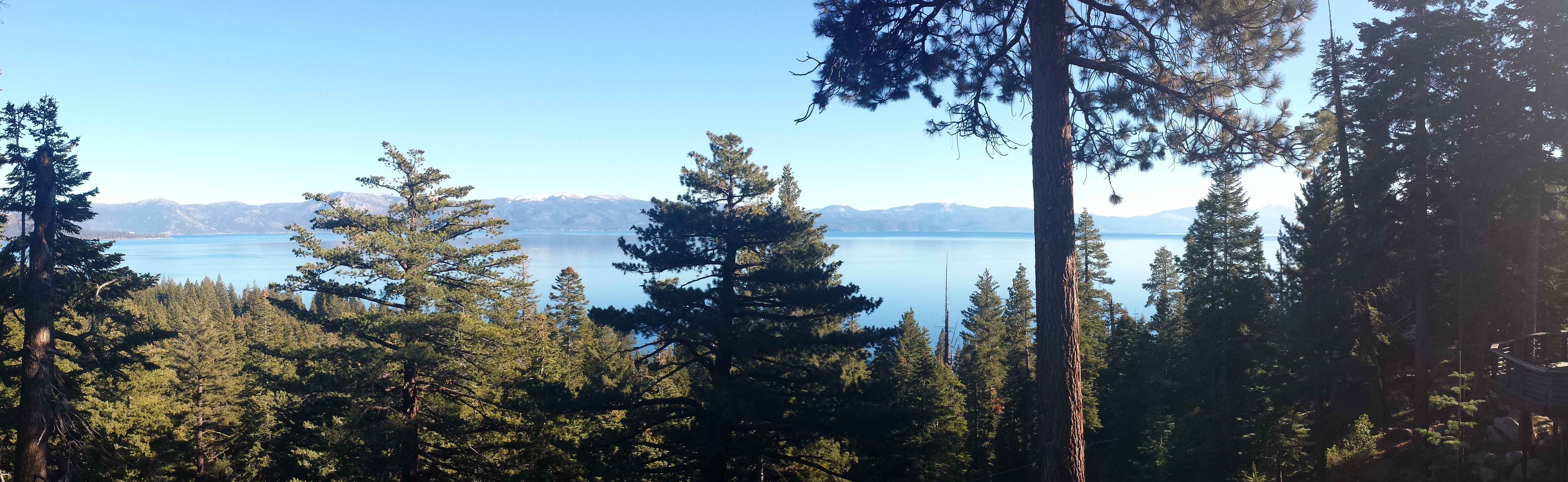 Lake Tahoe Forest